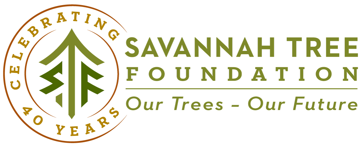 Savannah Tree Foundation logo of tree with wordmark.